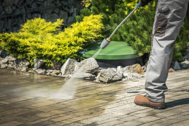 Best Post-Construction Pressure Washing  in University, FL